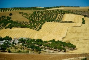 Exportaciones andaluzas a Países: Crecimiento hasta octubre