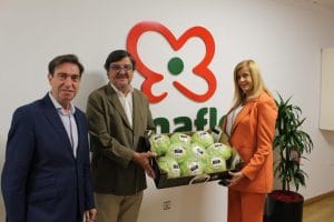 Mimaflor verduras y hortalizas cuidadas con mimo desde la semilla