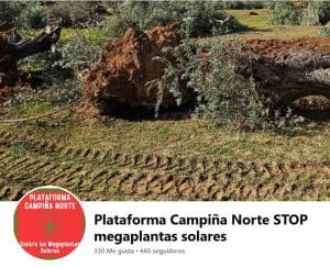 La Plataforma Campiña Norte defiende sus olivos centenarios. Imagen de su página de Facebook.