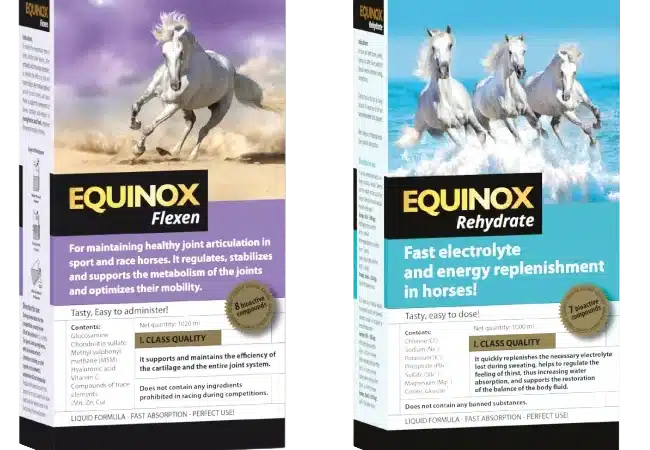 Remedios para caballos de competición: claves para mantener su salud y energía al máximo nivel