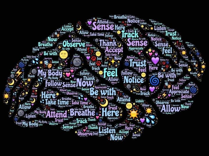 Neuroplasticidad inversa