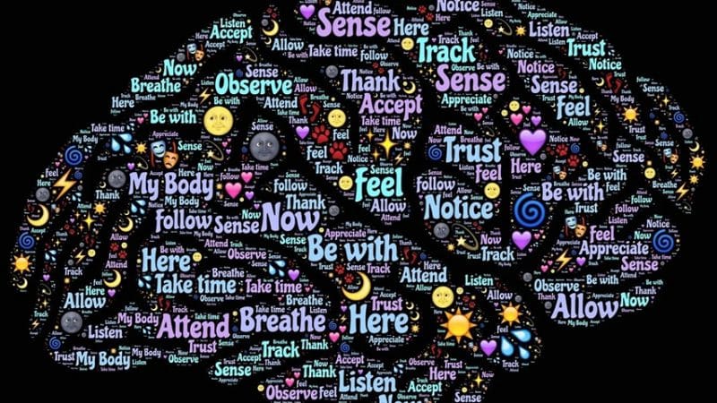 Neuroplasticidad inversa