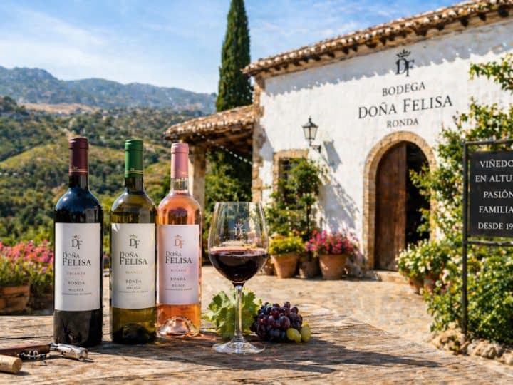 Bodega Doña Felisa: tradición andaluza y crecimiento de una empresa familiar del vino en Ronda