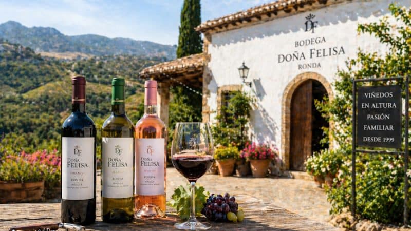Bodega Doña Felisa: tradición andaluza y crecimiento de una empresa familiar del vino en Ronda