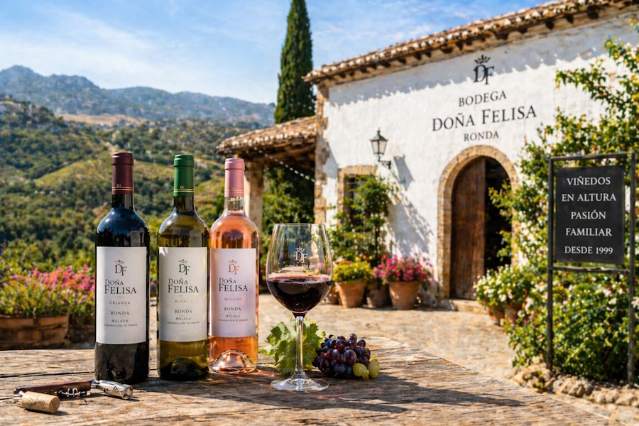 Bodega Doña Felisa: tradición andaluza y crecimiento de una empresa familiar del vino en Ronda