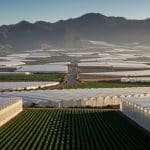 Almería y el arraigo: el eco de la ‘prioridad nacional’ en el corazón agrícola de Andalucía