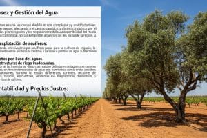 Gavira (VOX): «El PP y el PSOE son los enemigos del campo andaluz»