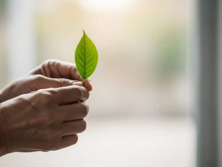 Párkinson en Andalucía: la batalla silenciosa que exige más que gestos políticos