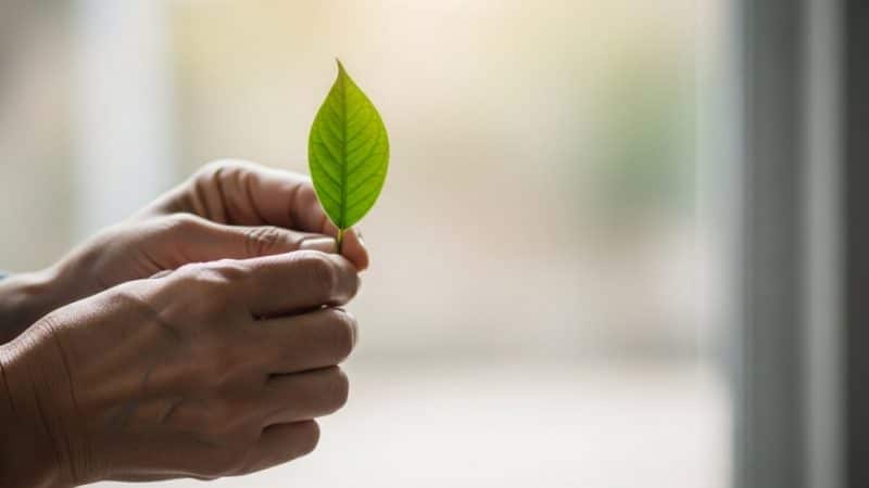 Párkinson en Andalucía: la batalla silenciosa que exige más que gestos políticos