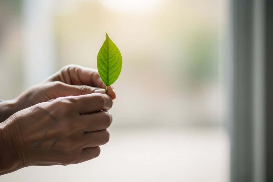 Párkinson en Andalucía: la batalla silenciosa que exige más que gestos políticos