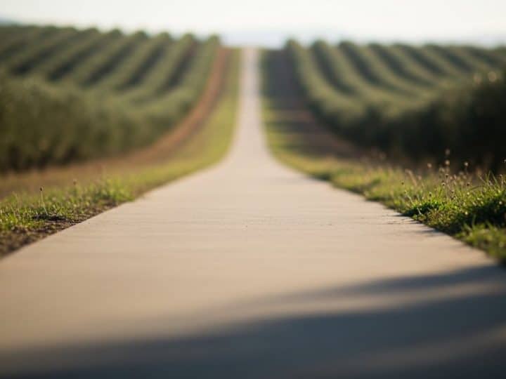 VOX Andalucía marca el camino: el acuerdo de Extremadura como modelo para el futuro gobierno andaluz