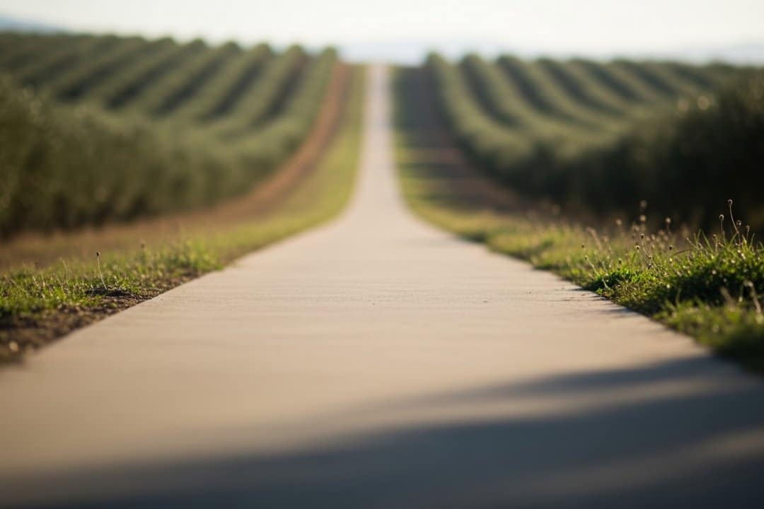 VOX Andalucía marca el camino: el acuerdo de Extremadura como modelo para el futuro gobierno andaluz