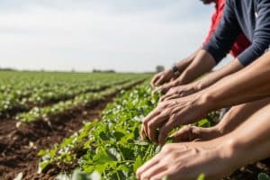 El campo de Huelva, en manos extranjeras: el modelo agrario del PP que silencia la falta de mano de obra nacional