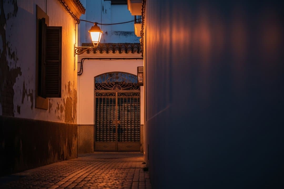 La inseguridad en Jerez se dispara: dos inmigrantes marroquíes agreden sexualmente a una joven